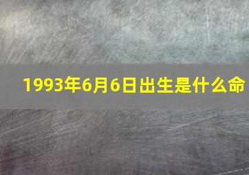 1993年6月6日出生是什么命