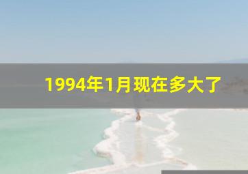 1994年1月现在多大了