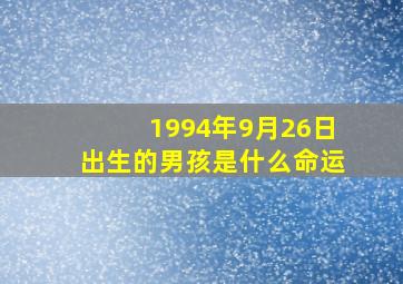 1994年9月26日出生的男孩是什么命运