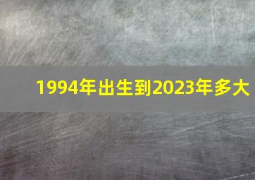 1994年出生到2023年多大