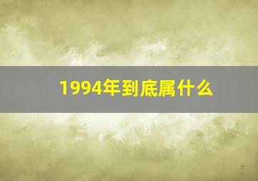 1994年到底属什么