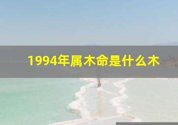 1994年属木命是什么木