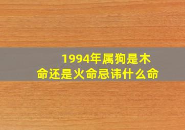 1994年属狗是木命还是火命忌讳什么命