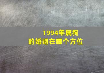 1994年属狗的婚姻在哪个方位