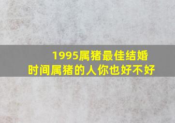 1995属猪最佳结婚时间属猪的人你也好不好