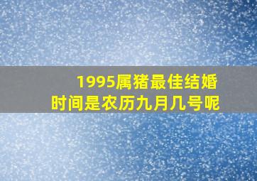 1995属猪最佳结婚时间是农历九月几号呢