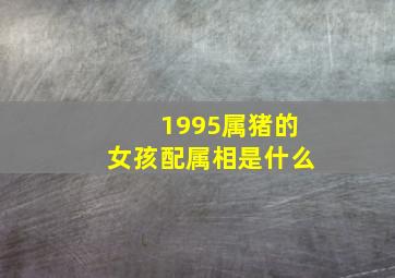 1995属猪的女孩配属相是什么