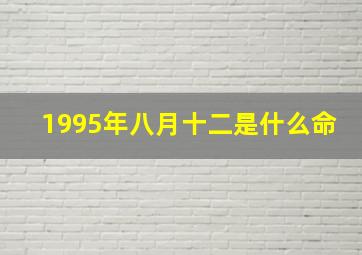 1995年八月十二是什么命