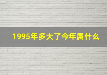 1995年多大了今年属什么