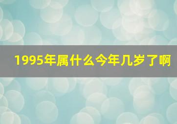 1995年属什么今年几岁了啊