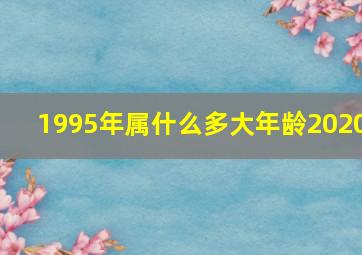 1995年属什么多大年龄2020