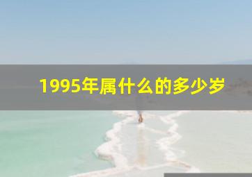 1995年属什么的多少岁