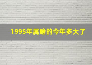 1995年属啥的今年多大了