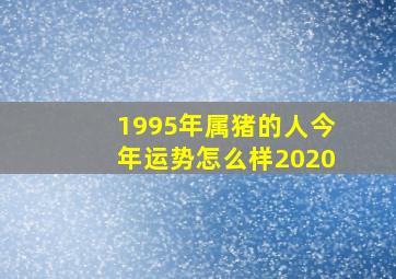 1995年属猪的人今年运势怎么样2020