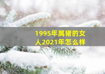 1995年属猪的女人2021年怎么样