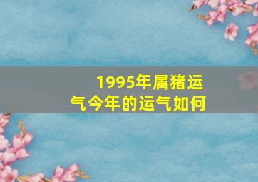 1995年属猪运气今年的运气如何