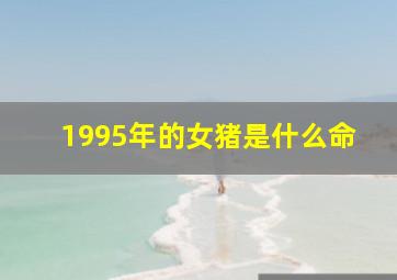 1995年的女猪是什么命