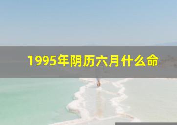 1995年阴历六月什么命