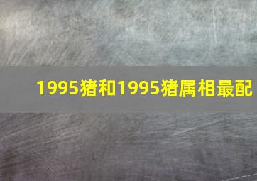 1995猪和1995猪属相最配