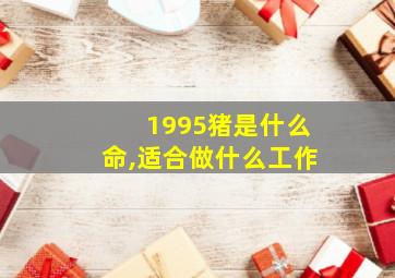 1995猪是什么命,适合做什么工作