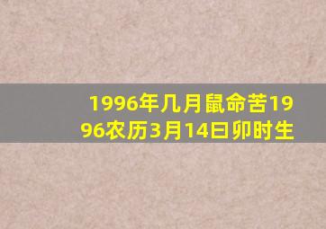 1996年几月鼠命苦1996农历3月14曰卯时生