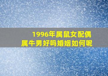 1996年属鼠女配偶属牛男好吗婚姻如何呢