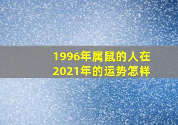 1996年属鼠的人在2021年的运势怎样