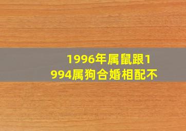 1996年属鼠跟1994属狗合婚相配不