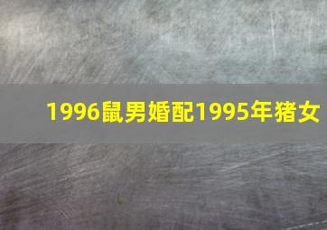 1996鼠男婚配1995年猪女