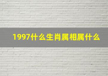 1997什么生肖属相属什么