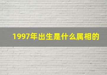 1997年出生是什么属相的