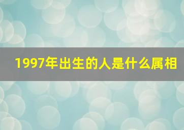 1997年出生的人是什么属相