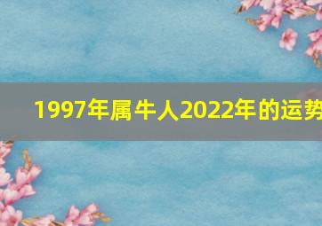 1997年属牛人2022年的运势