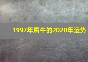 1997年属牛的2020年运势