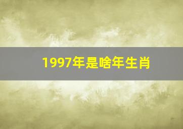 1997年是啥年生肖