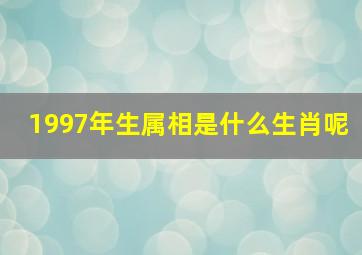 1997年生属相是什么生肖呢