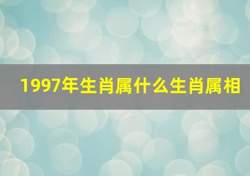 1997年生肖属什么生肖属相