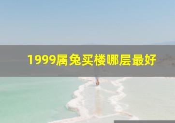 1999属兔买楼哪层最好