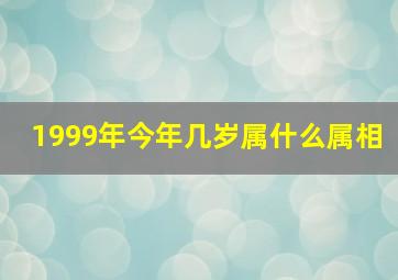 1999年今年几岁属什么属相