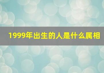 1999年出生的人是什么属相