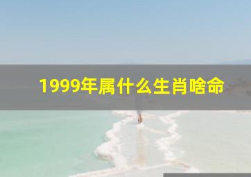 1999年属什么生肖啥命