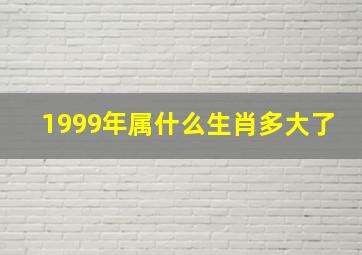 1999年属什么生肖多大了