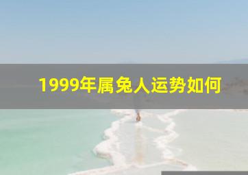 1999年属兔人运势如何