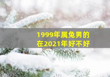 1999年属兔男的在2021年好不好