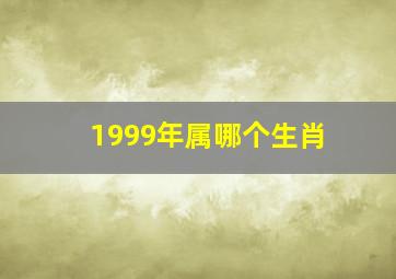 1999年属哪个生肖