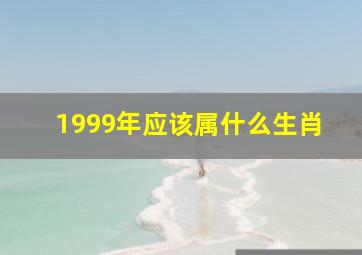 1999年应该属什么生肖