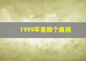 1999年是哪个属相