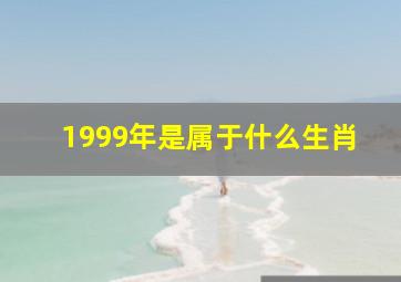 1999年是属于什么生肖