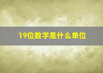 19位数字是什么单位