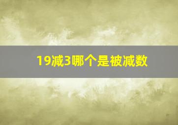 19减3哪个是被减数